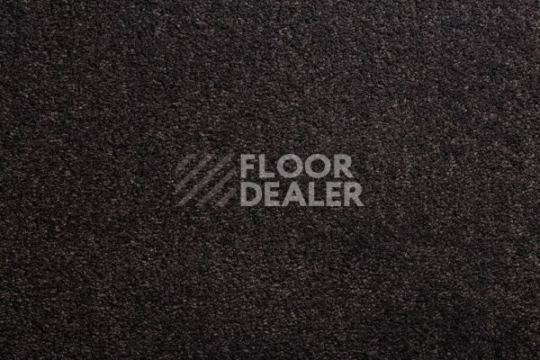 Ковролин CONDOR Carpets Bologna 78 фото 1 | FLOORDEALER